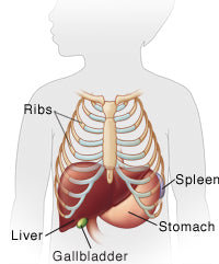 Why Infant Liver Maturity May Be the Missing Piece