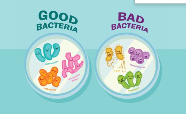 Does colloidal silver fight only “bad” bacteria, leaving “good” flora unaffected?